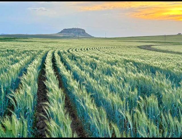 FARM FOR SALE IN BETHLEHEM RURAL